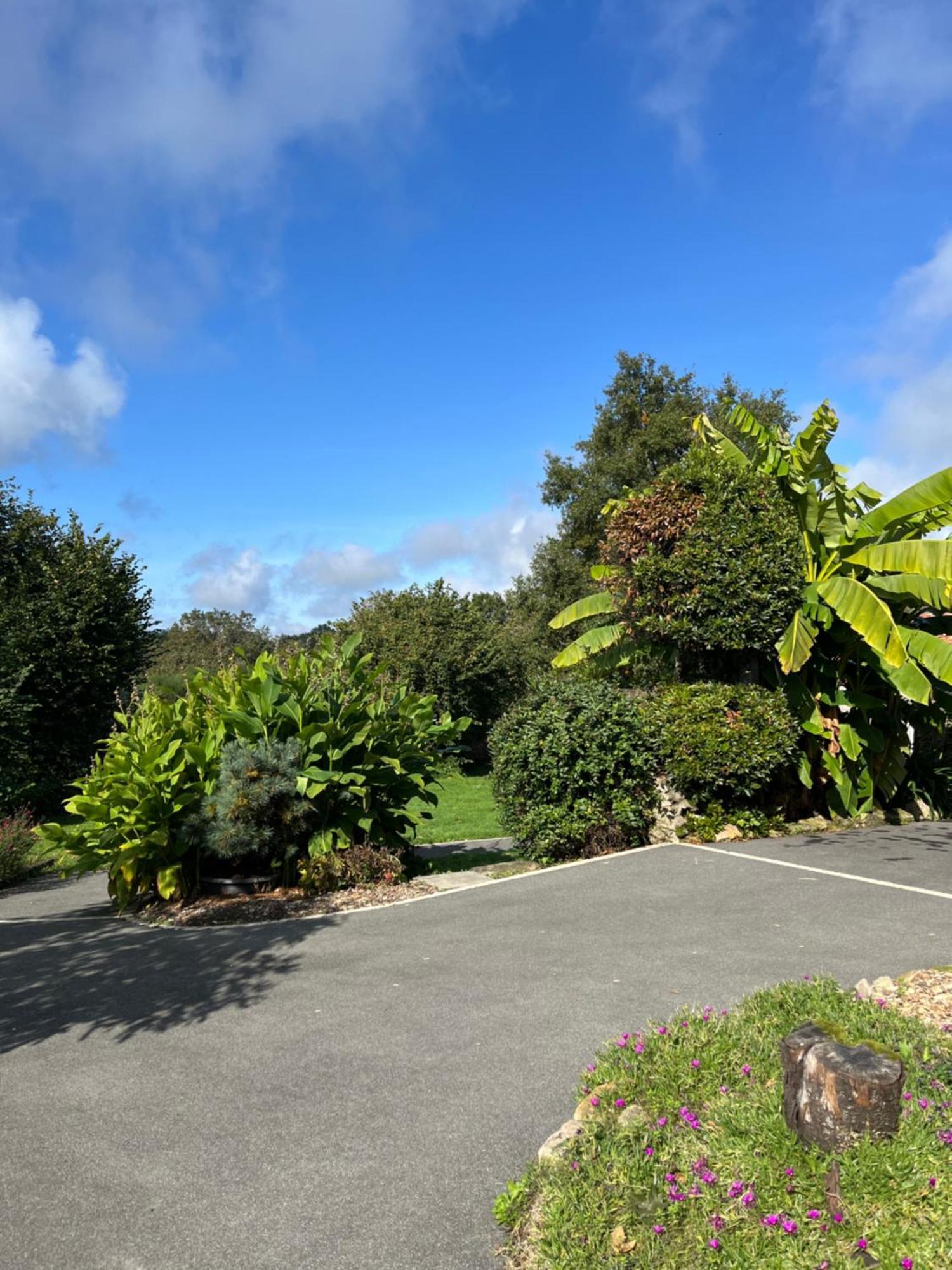 Au Petit Bignon Bed & Breakfast Les Epesses Exterior photo